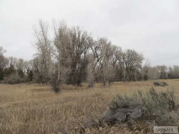 $375,000 | 4617 East 200 Road North, Rigby, ID 83442