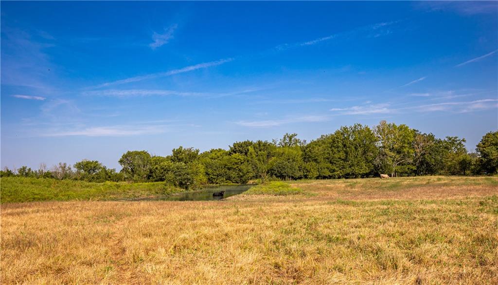 2243 Tomahawk Road Fort Scott, KS 66701 - Photo 42 of 82 Gallery Image 42