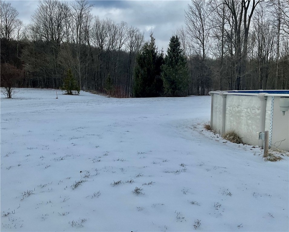 756 Spring Street Extension Groton, NY 13073 - Photo 12 of 28 Spacious backyard