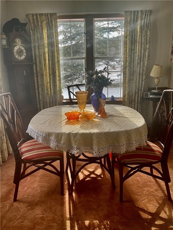 756 Spring Street Extension Groton, NY 13073 - Photo 17 of 28 Sunny views