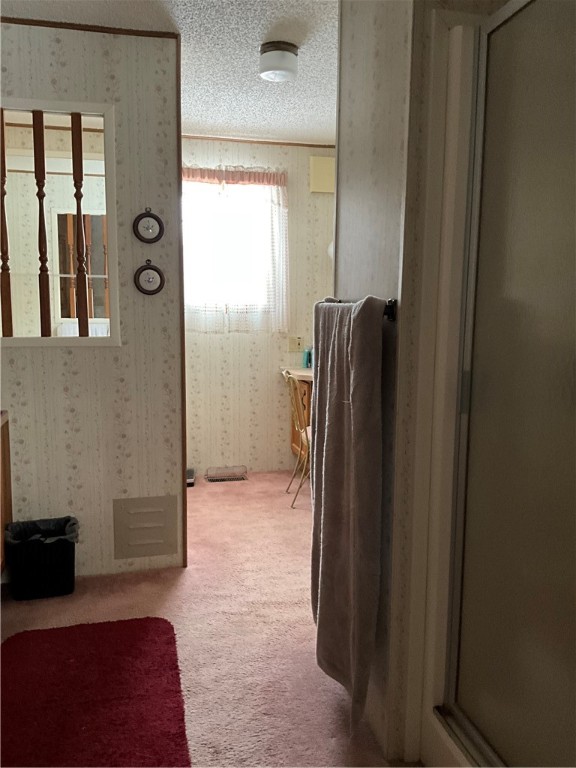 756 Spring Street Extension Groton, NY 13073 - Photo 22 of 28 Primary bathroom with vanity and separate bath an