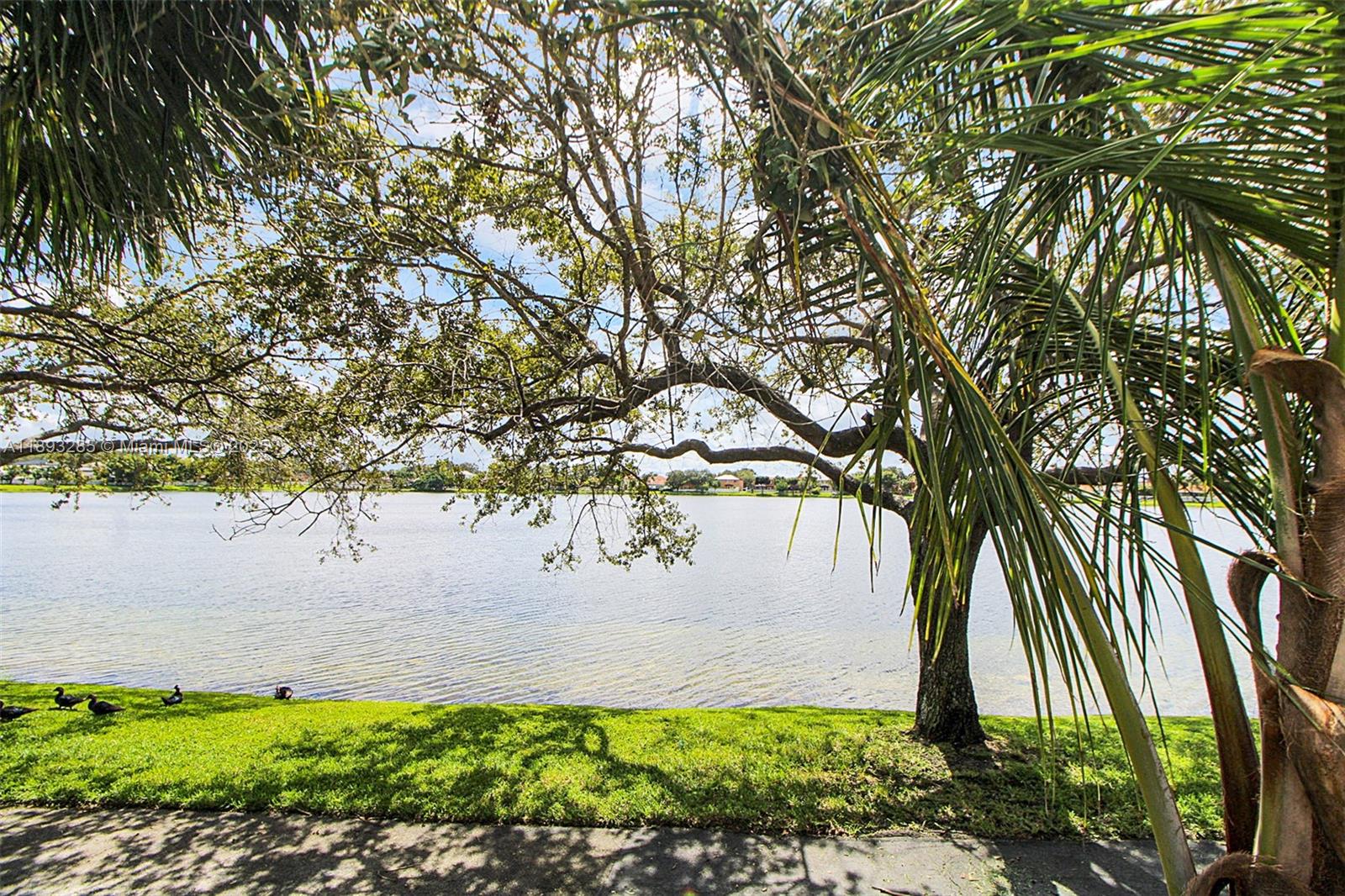 8416 Northwest 201st Street Hialeah, FL 33015 - Photo 5 of 40 This is the view from many parts of the house. A pathway of surrounds the lake.