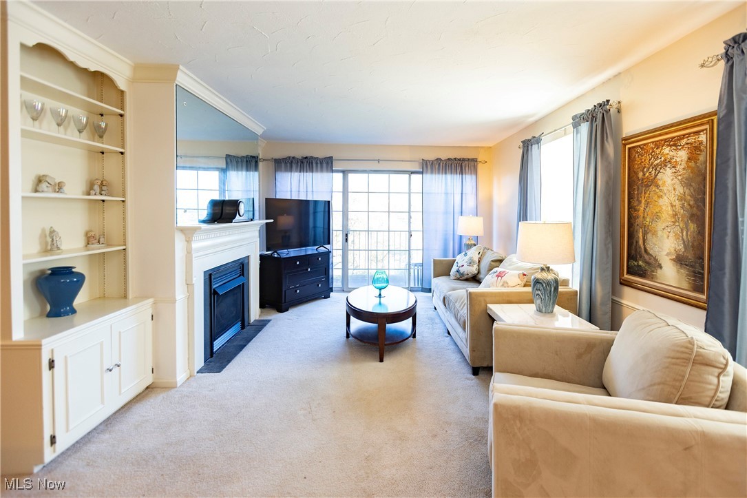 22701 Center Ridge Road, Unit 307 Rocky River, OH 44116 - Photo 8 of 27 Living area with a fireplace with flush hearth and light colored carpet