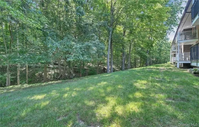 a view of a grassy field with trees