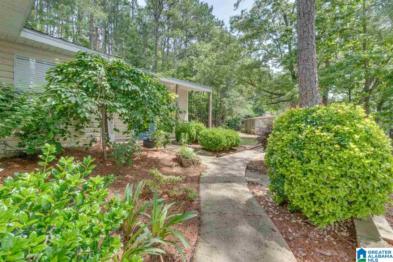 415 Tangled Way Shelby, AL 35143 - Photo 39 of 50