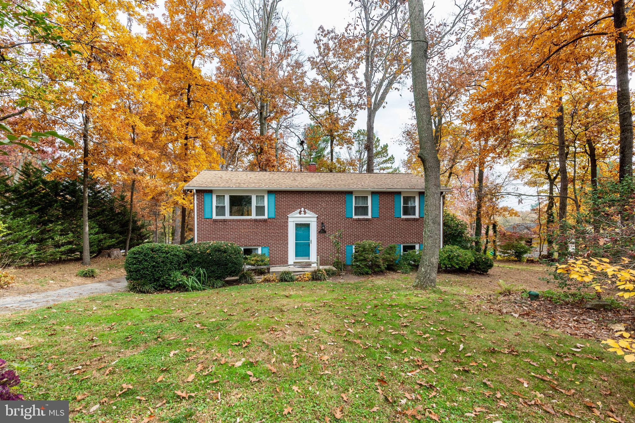 Flat wooded lot