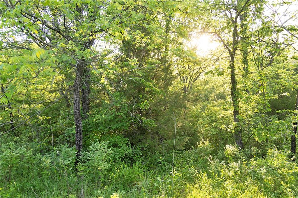 Murray Road Polo, MO 64671 - Photo 29 of 39