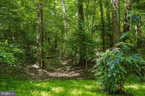 $1,985,000 | 95 River Birch Drive, Great Falls, VA 22066