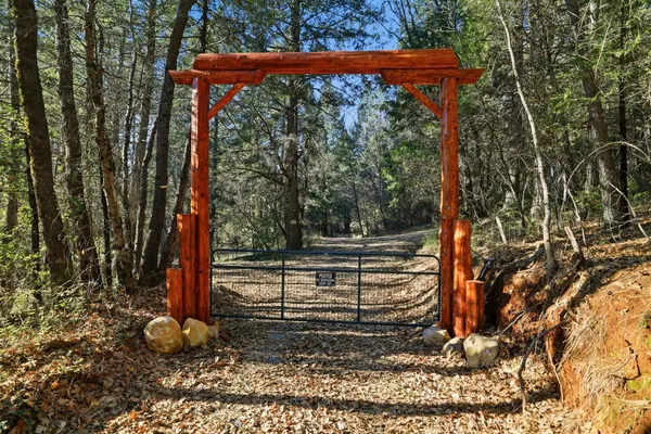 a view of a backyard with a tree