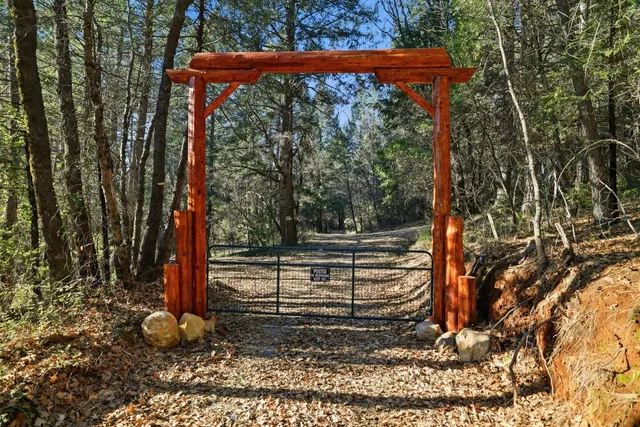 a view of a backyard with a tree