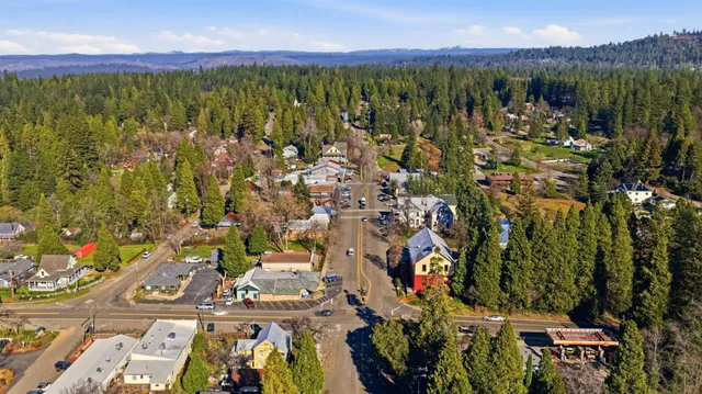 a view of a city with lots of trees