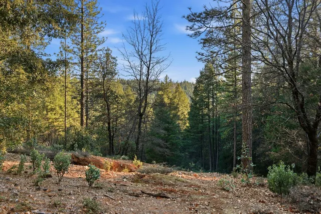 a view of outdoor space with trees