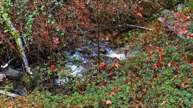 a backyard of a house with fire pit and outdoor seating