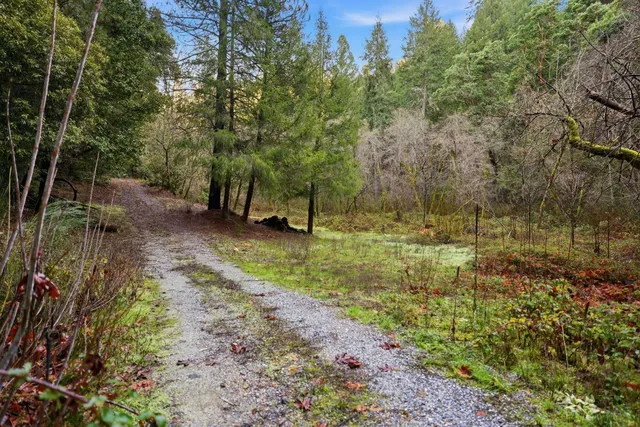 a view of a backyard with swings and slides