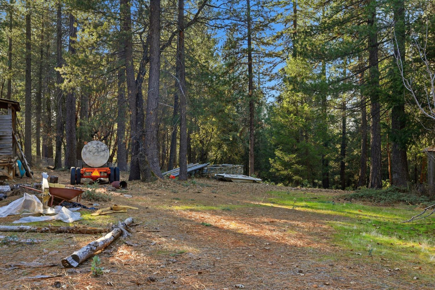 0 Kentucky Flat Road Georgetown, CA 95634 - Photo 25 of 54 a view of a backyard with swings and slides