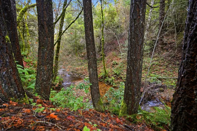 a view of a street with sitting area