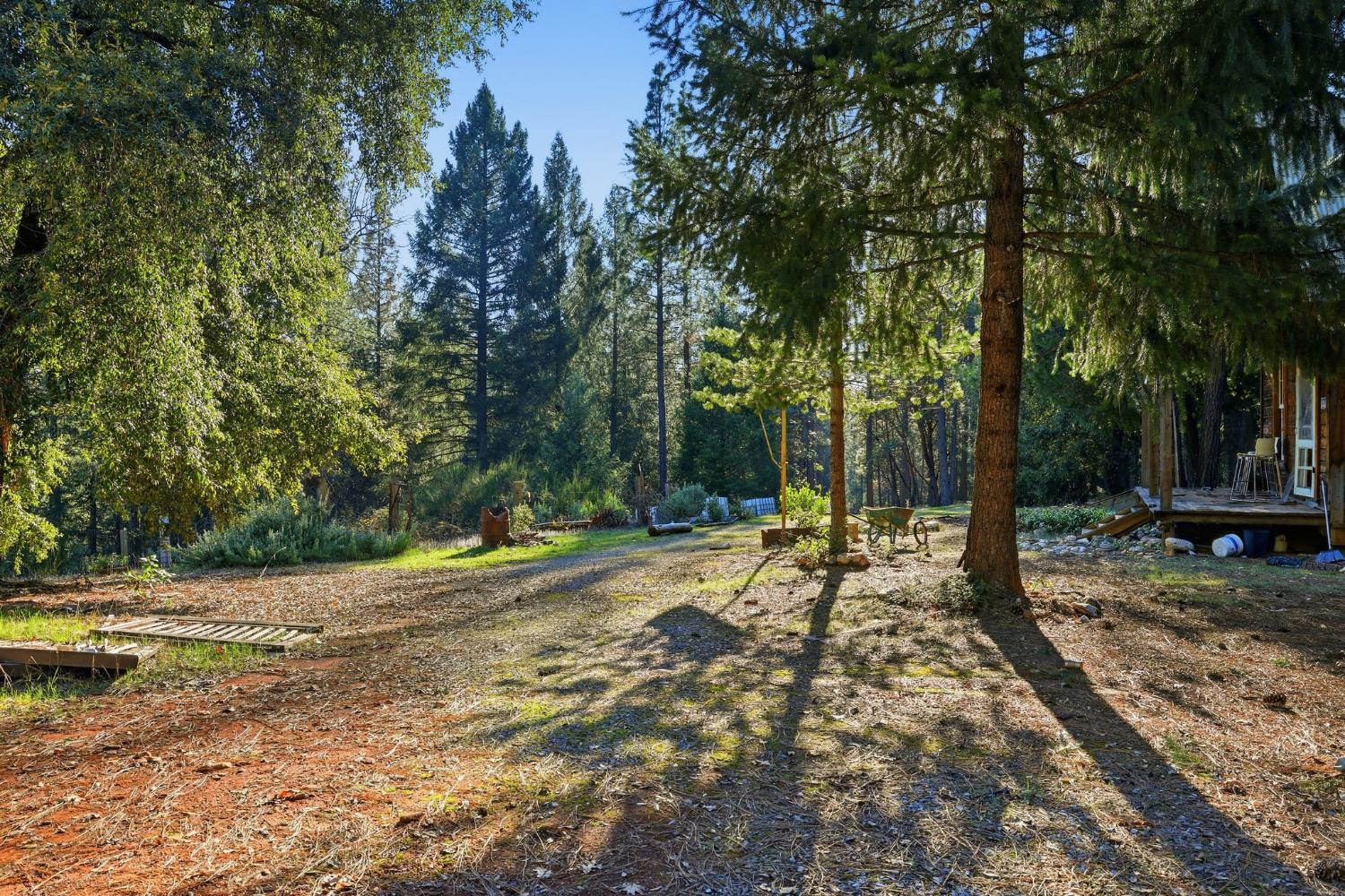 0 Kentucky Flat Road Georgetown, CA 95634 - Photo 30 of 54 a view of a park with of trees