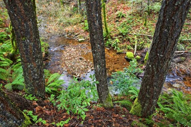 a street sign on a pole on a street