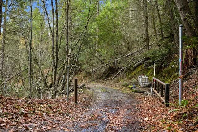 a view of backyard with green space