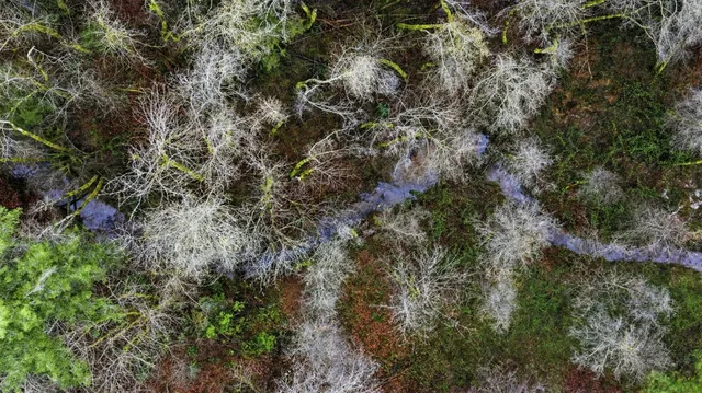 a view of swimming pool with green space