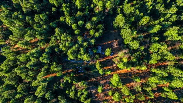 a view of an outdoor space with a tree
