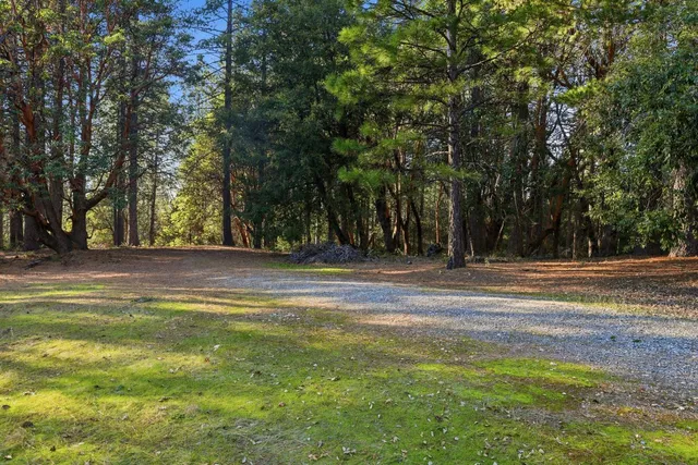 a backyard of a house with lots of green space