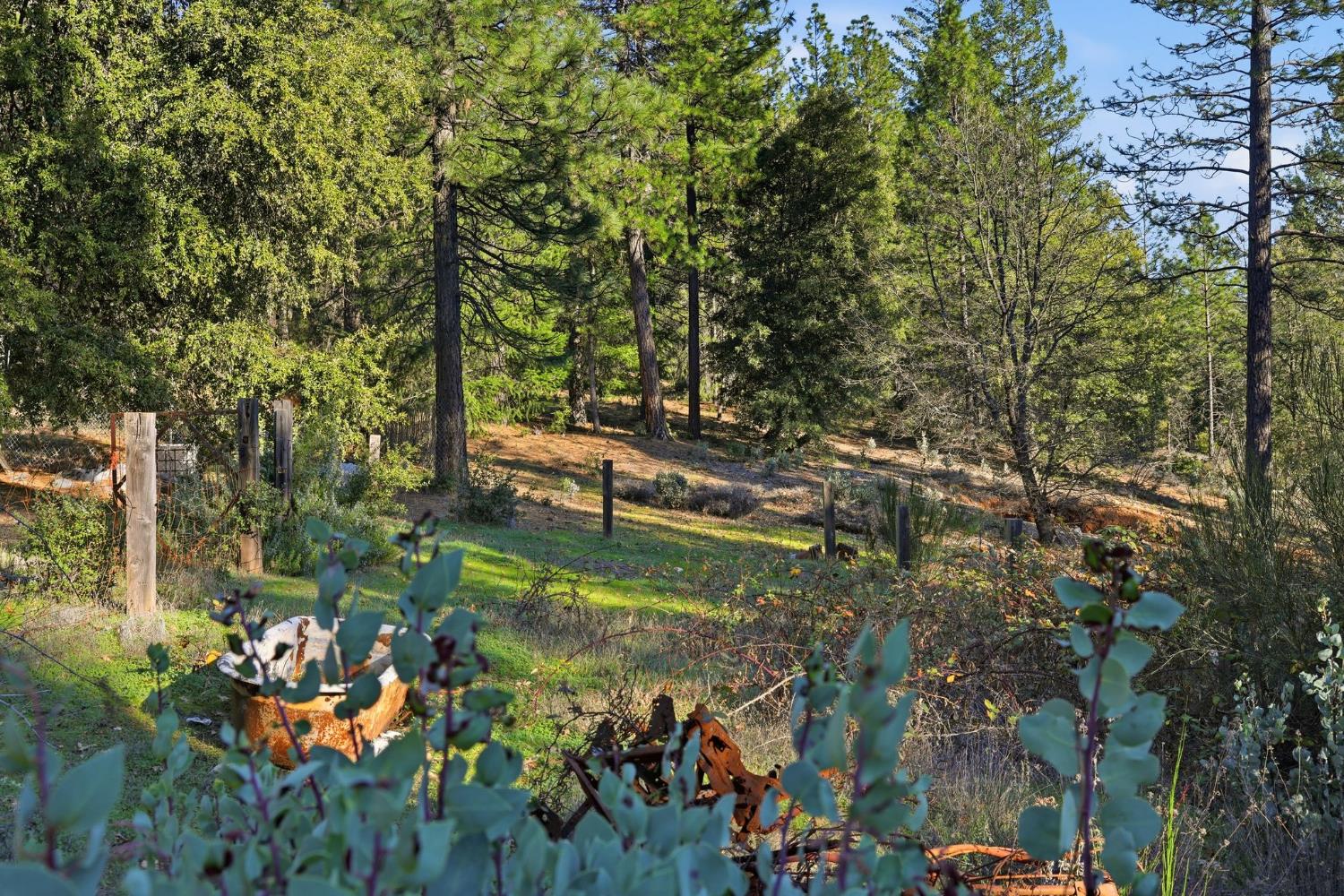 0 Kentucky Flat Road Georgetown, CA 95634 - Photo 44 of 54 a backyard of a house with lots of green space