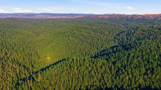 a front view of a building with a garage