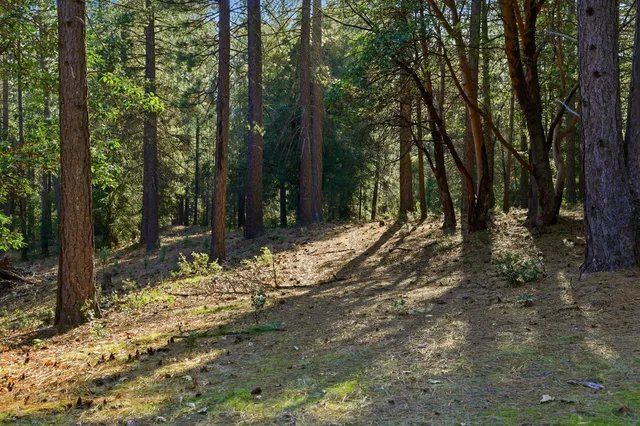 a view of outdoor space with seating area