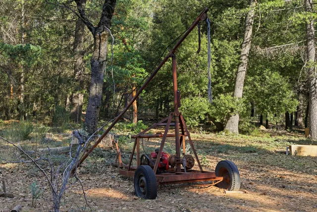 a view of a park with large trees