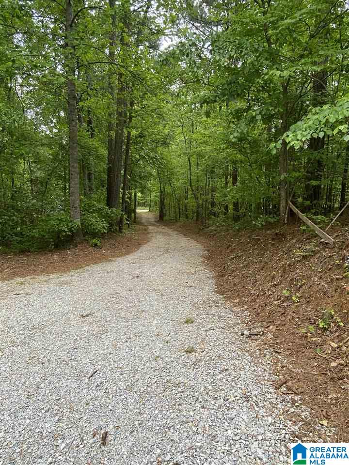 939 County Road 233 Fruithurst, AL 36262 - Photo 2 of 15