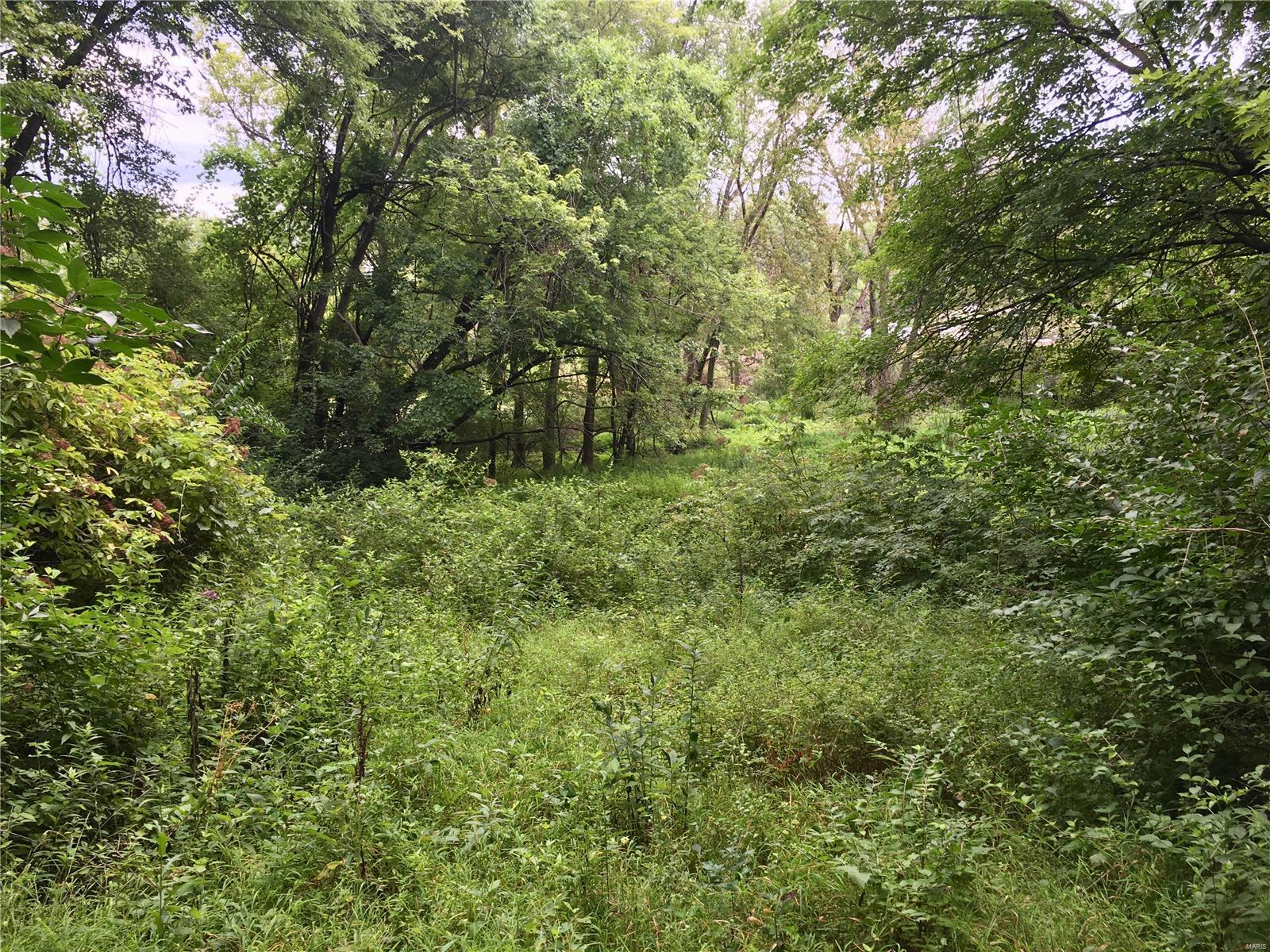 225 Brown Road St. Peters, MO 63376 - Photo 27 of 34