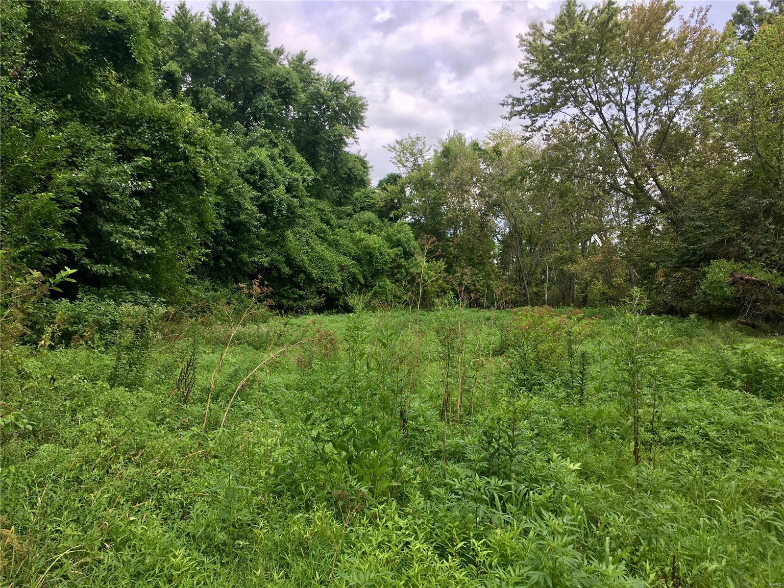 225 Brown Road St. Peters, MO 63376 - Photo 29 of 34
