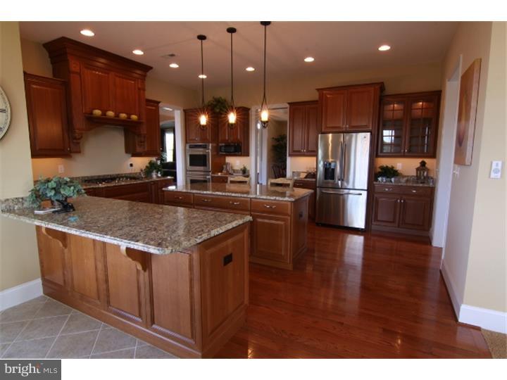 229 Windham Drive Exton, PA 19341 - Photo 3 of 24 Kitchen