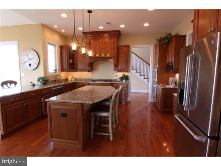 229 Windham Drive Exton, PA 19341 - Photo 8 of 24 Kitchen