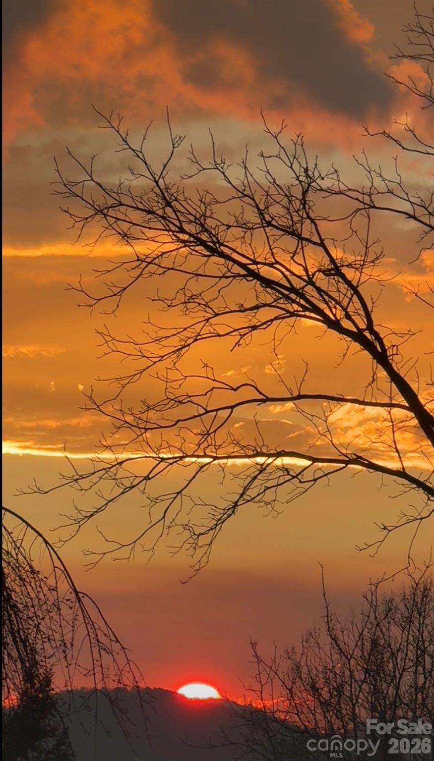 81 Edgemont Road Asheville, NC 28801 - Photo 48 of 48