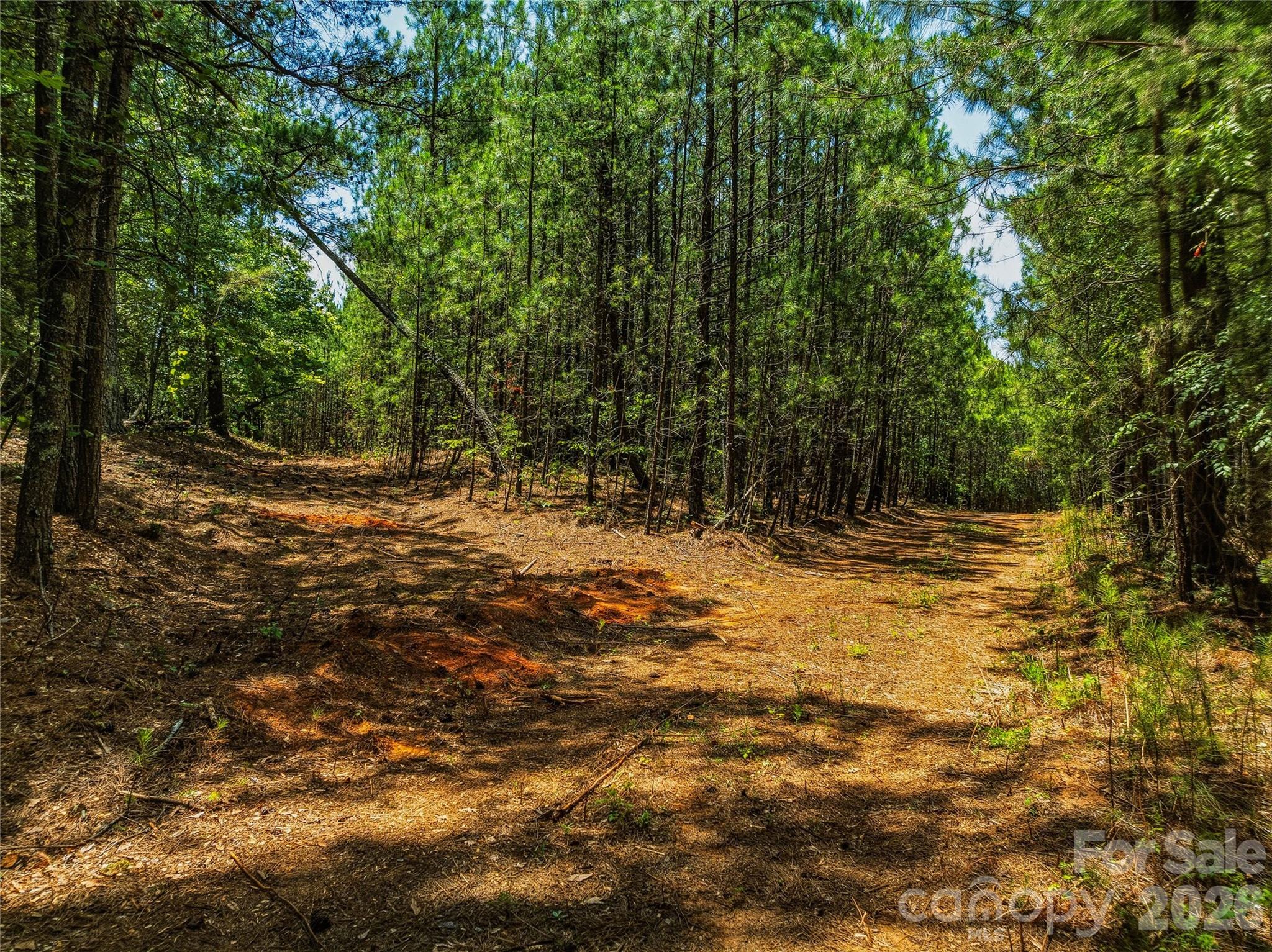 6783 Peniel Road Tryon, NC 28782 - Photo 7 of 36