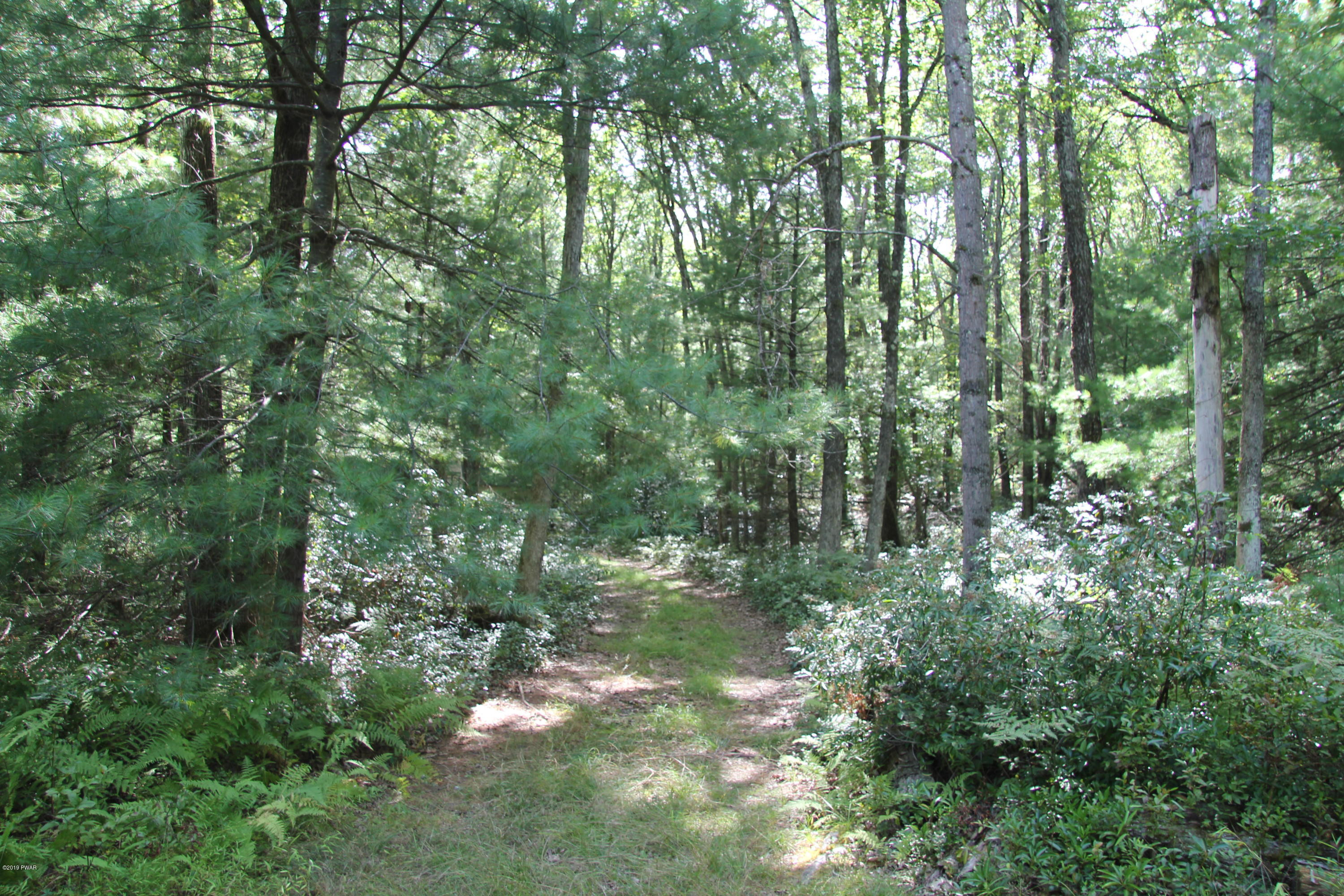 Club Road Shohola, PA 18458 - Photo 4 of 12