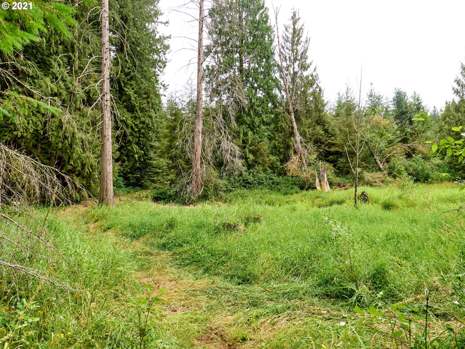13912 South Carus Road Oregon City, OR 97045 - Photo 30 of 31