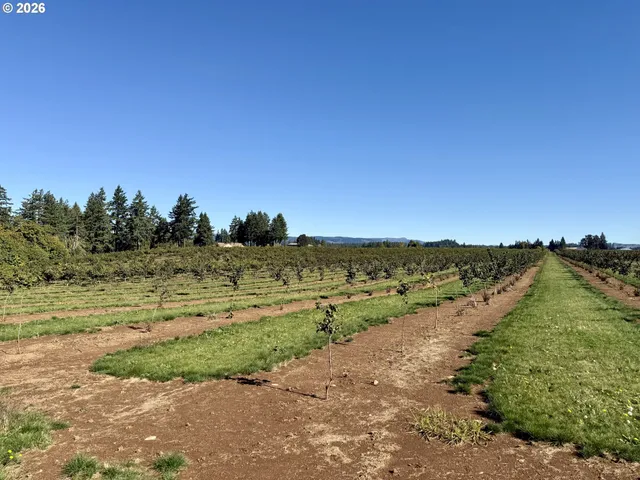 a view of a road with a yard