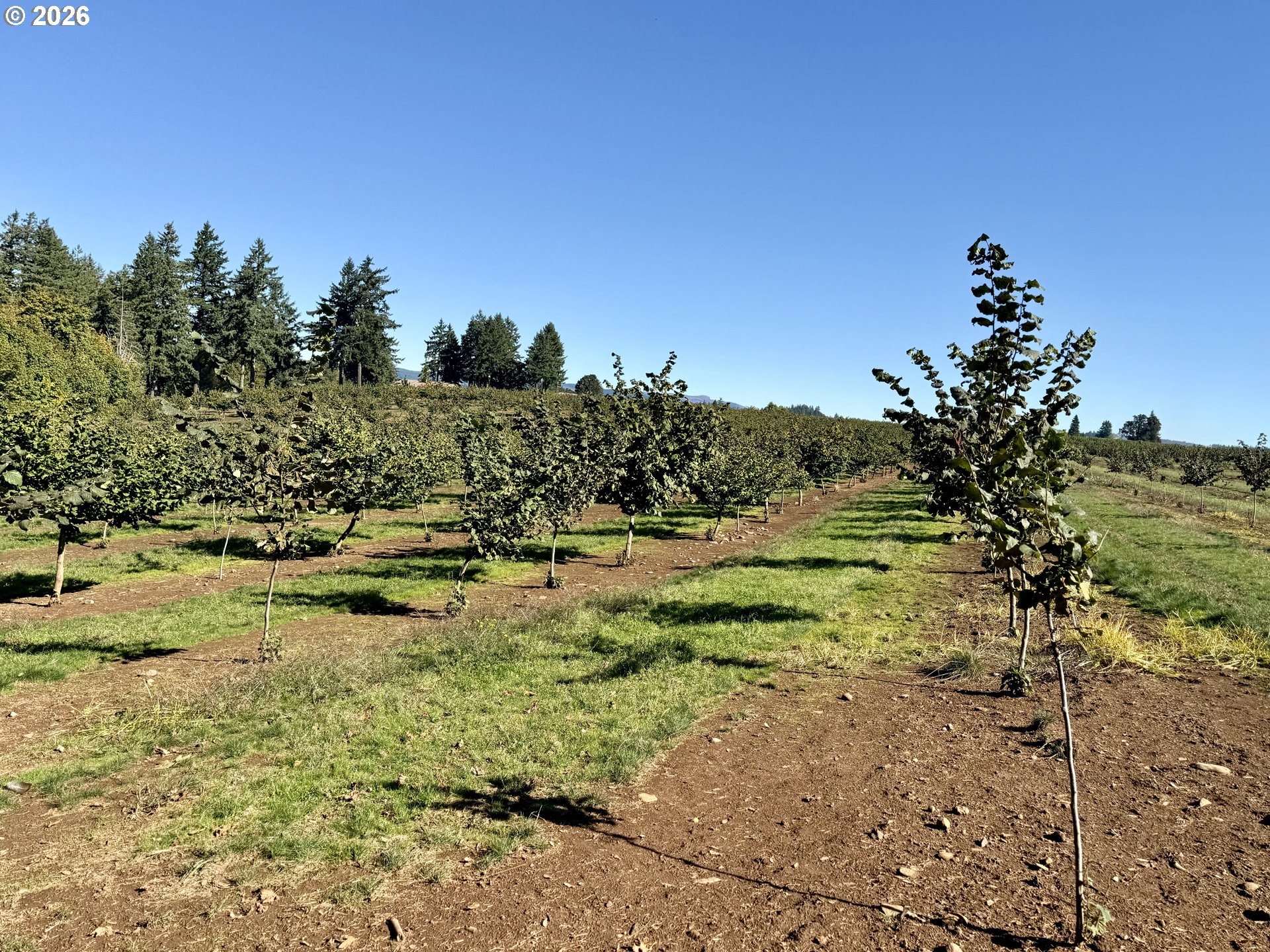 41404 Kingston Jordan Road Stayton, OR 97383 - Photo 13 of 46