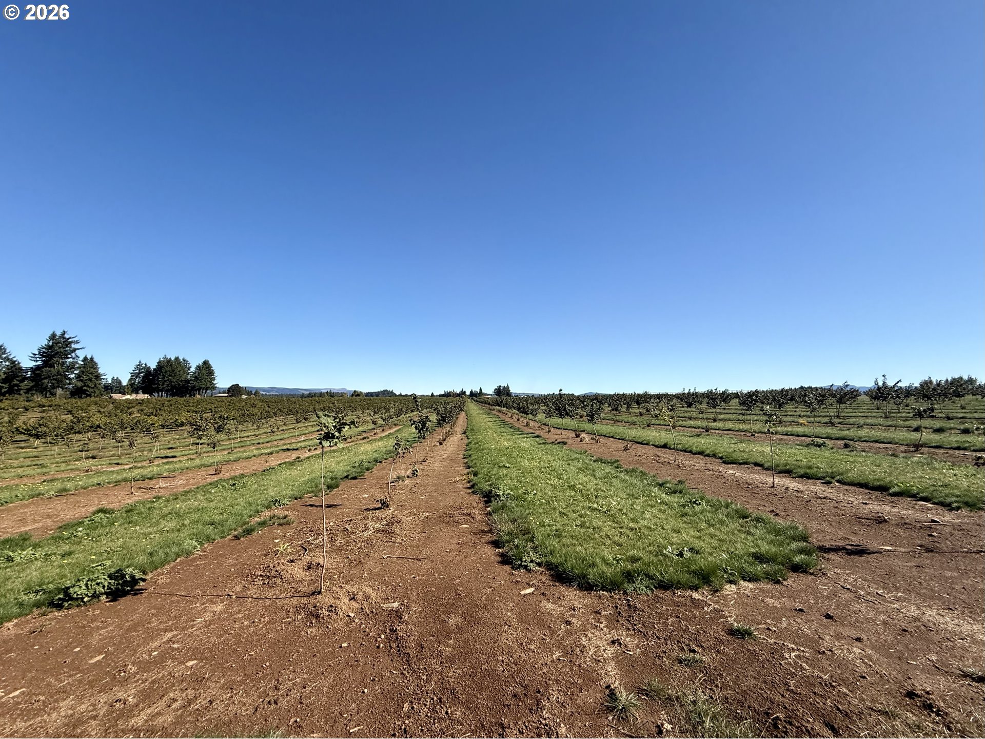 41404 Kingston Jordan Road Stayton, OR 97383 - Photo 14 of 46