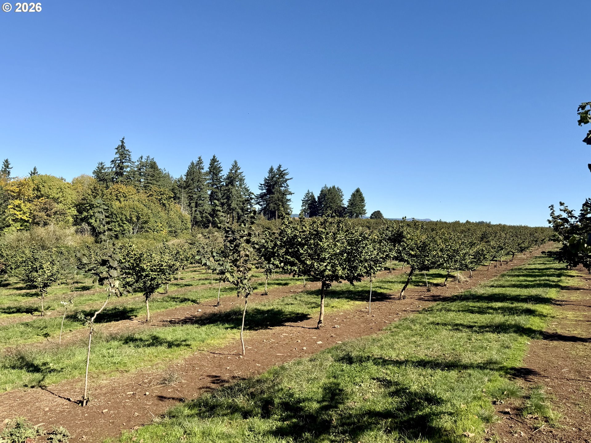 41404 Kingston Jordan Road Stayton, OR 97383 - Photo 15 of 46