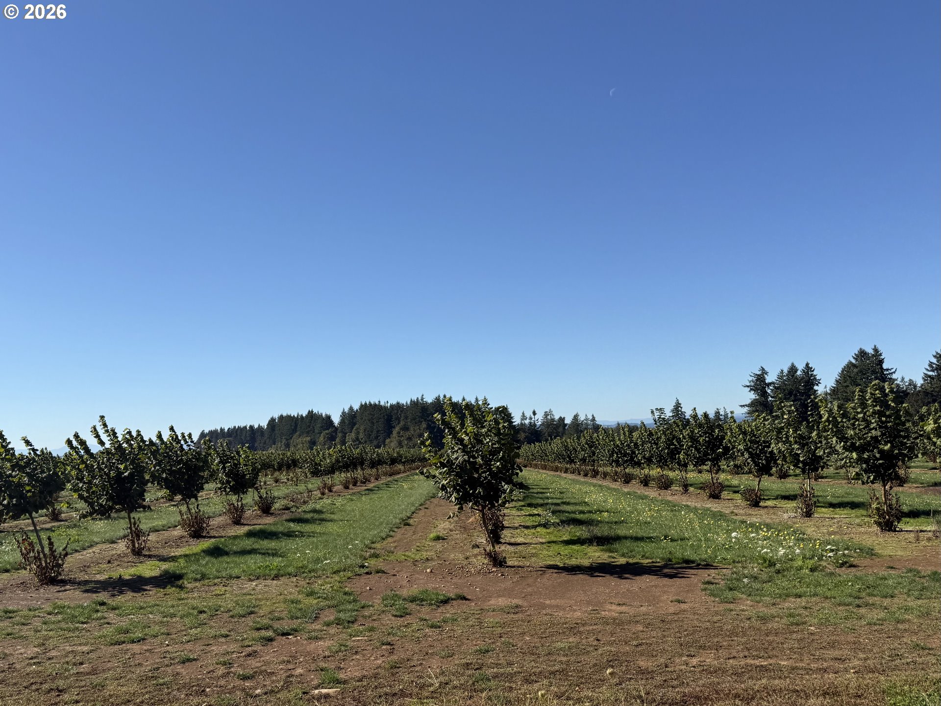 41404 Kingston Jordan Road Stayton, OR 97383 - Photo 16 of 46