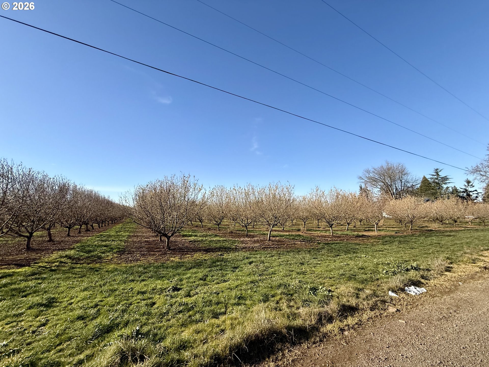 41404 Kingston Jordan Road Stayton, OR 97383 - Photo 44 of 46