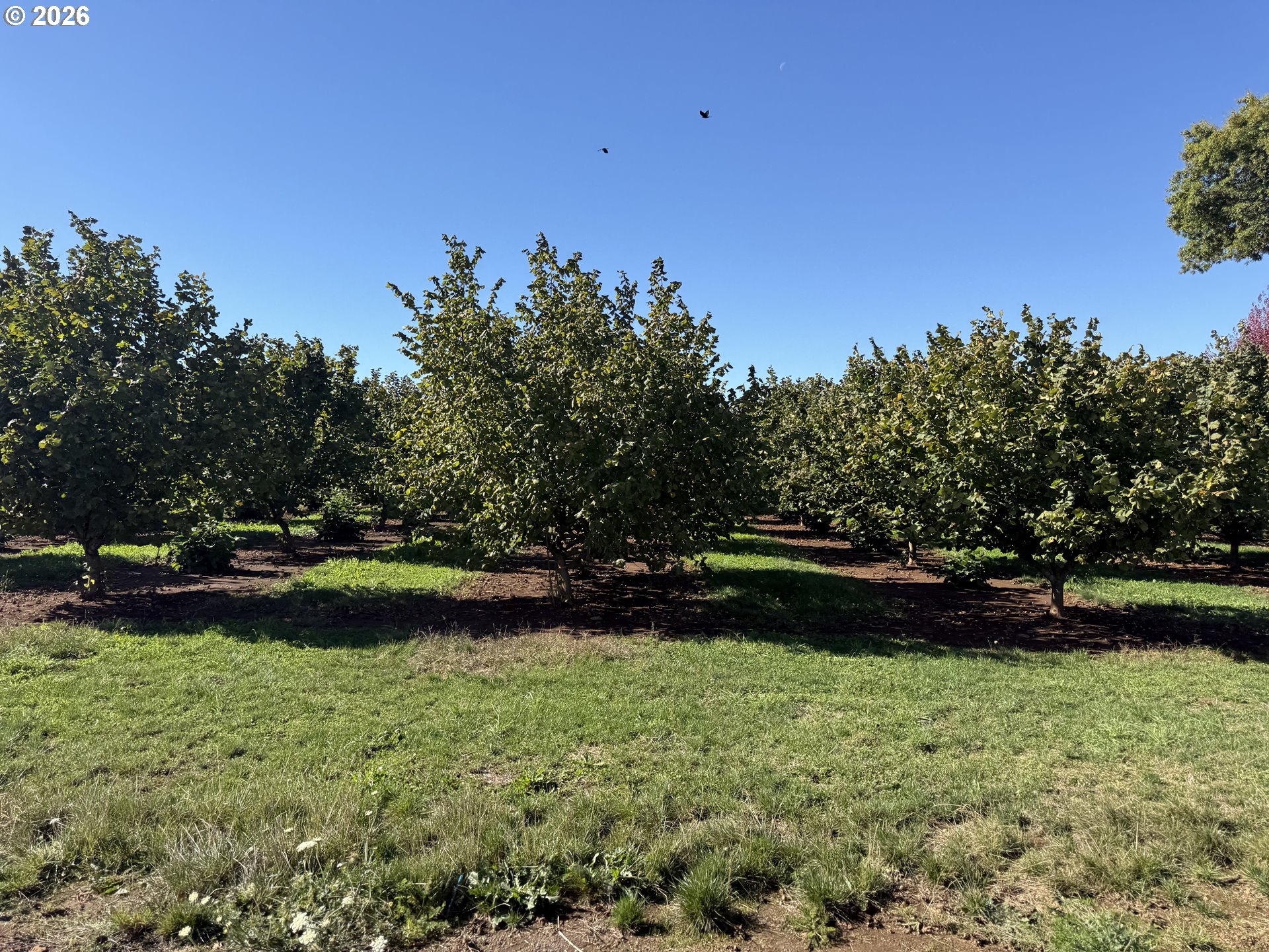 41404 Kingston Jordan Road Stayton, OR 97383 - Photo 5 of 46