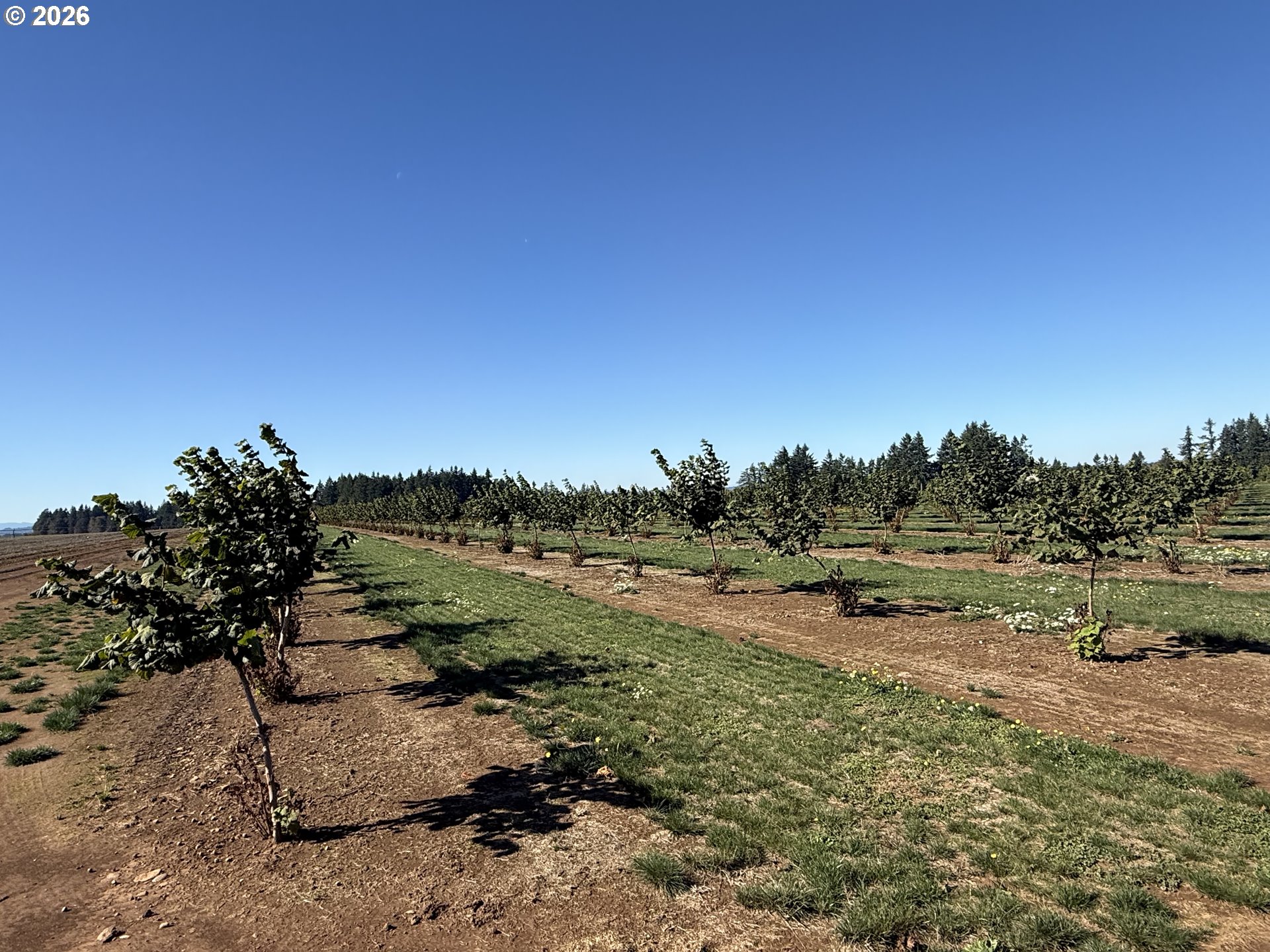 41404 Kingston Jordan Road Stayton, OR 97383 - Photo 7 of 46