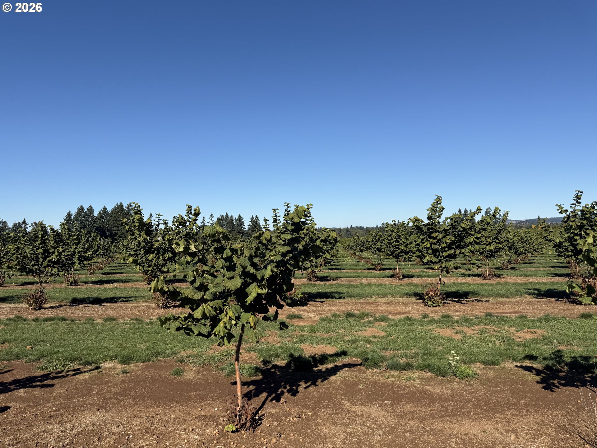 41404 Kingston Jordan Road Stayton, OR 97383 - Photo 9 of 46