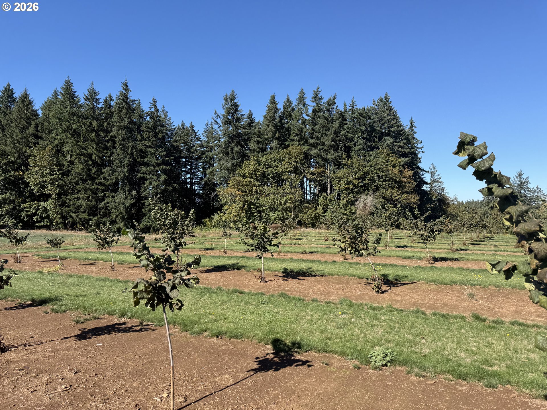 41404 Kingston Jordan Road Stayton, OR 97383 - Photo 10 of 46