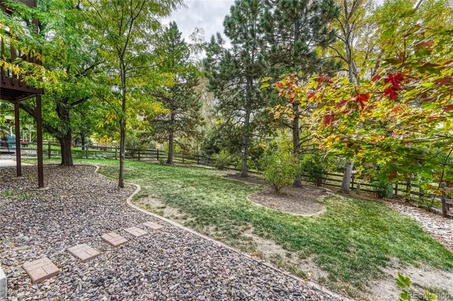 a view of a park with large trees